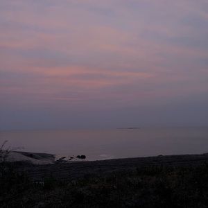 Meet your Posher, Chanel